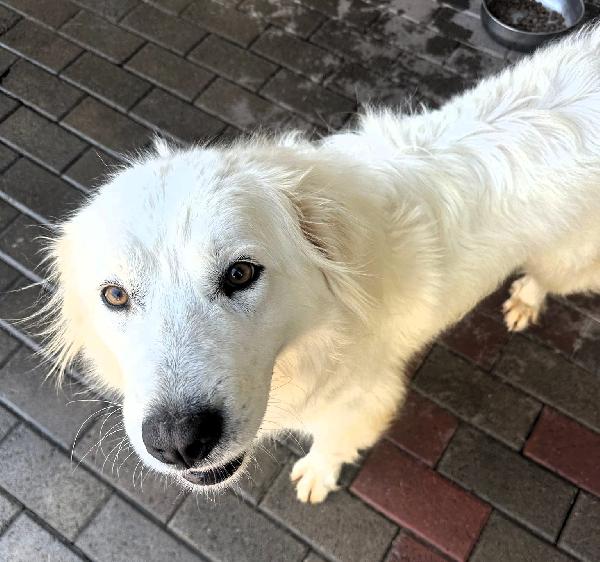 CHIARA MAREMMANA Foto 6